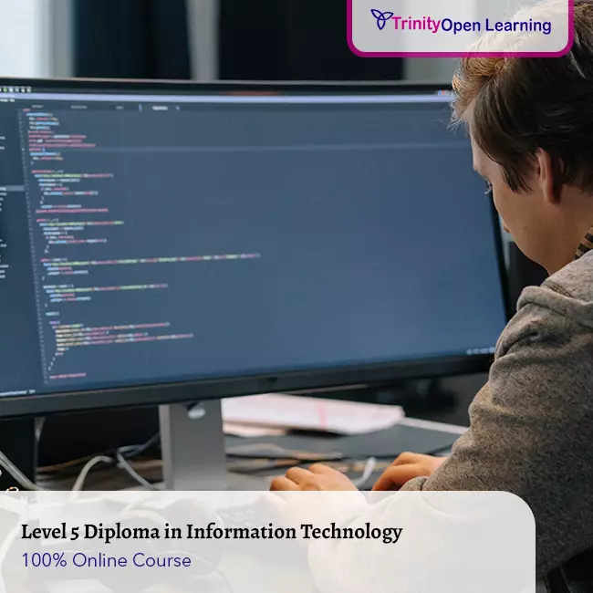 Level 5 Diploma in IT (Information Technology)